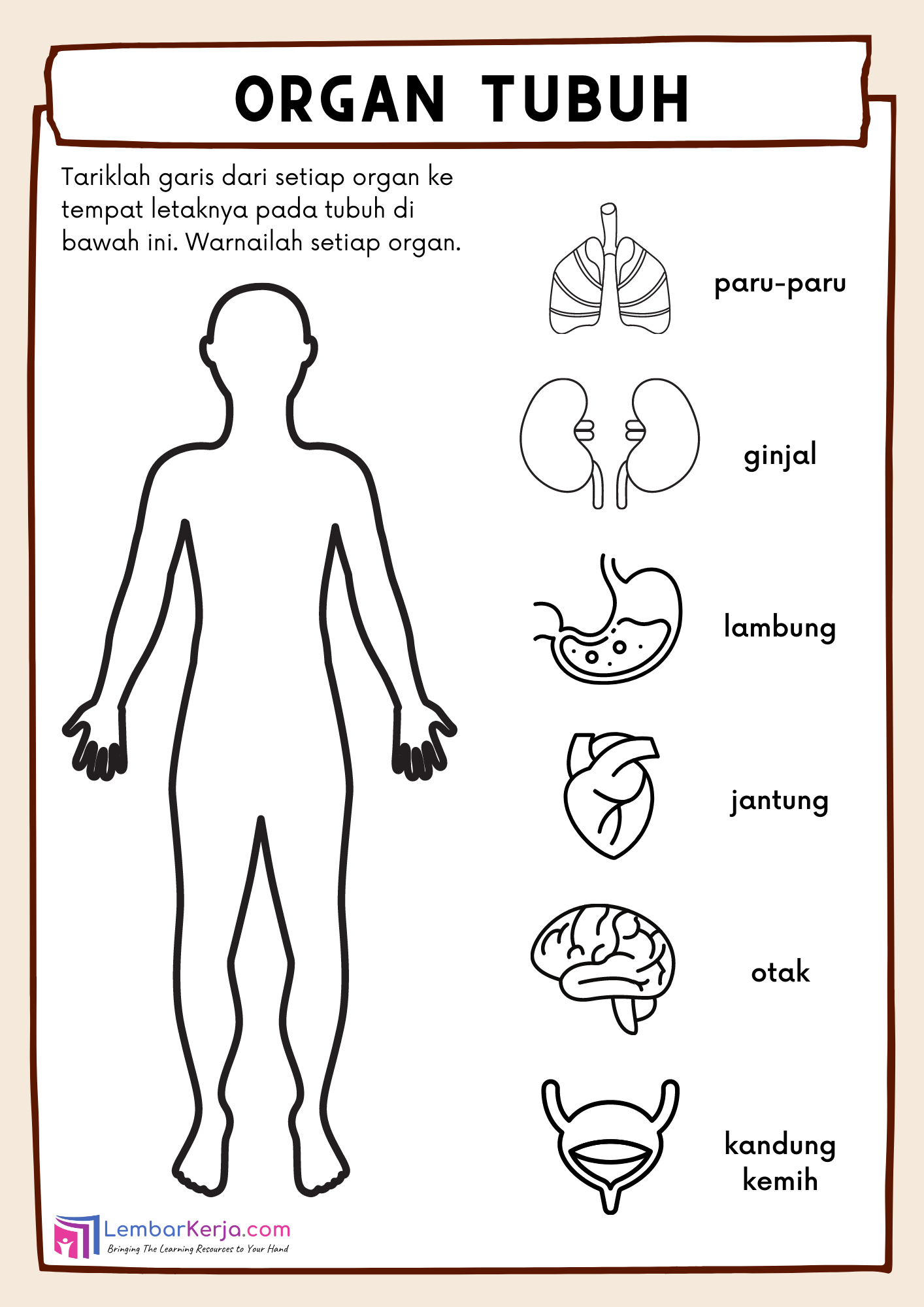 Organ Tubuh Manusia (1) – LembarKerja.Com