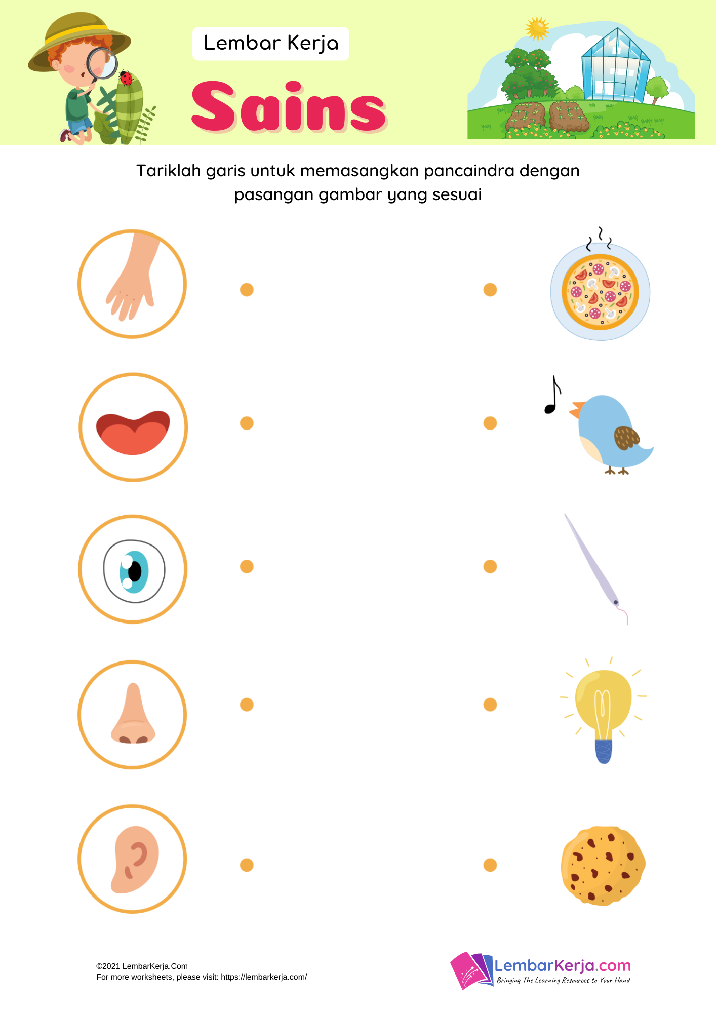 Sains: Pancaindra (1) - LembarKerja.Com